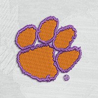 Swatch Color - clemson