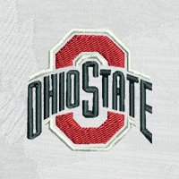 Swatch Color - ohio_state