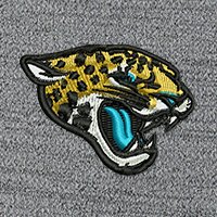 Swatch Color - jacksonville_jaguars