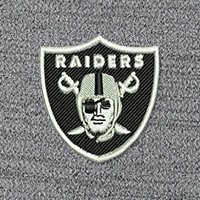 Swatch Color - las_vegas_raiders