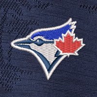 Swatch Color - toronto_blue_jays