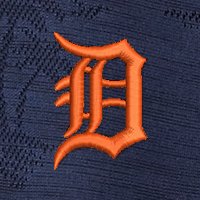 Swatch Color - detroit_tigers