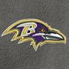 Swatch Color - baltimore_ravens
