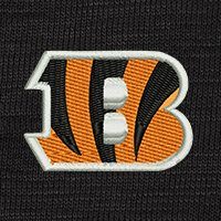 Swatch Color - cincinnati_bengals