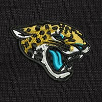 Swatch Color - jacksonville_jaguars