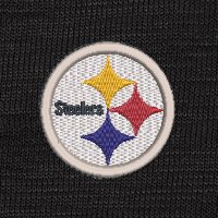 Swatch Color - pittsburgh_steelers