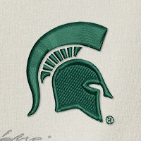 Swatch Color - michigan_state