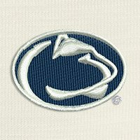 Swatch Color - penn_state