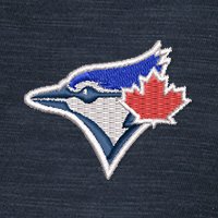 Swatch Color - toronto_blue_jays