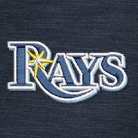 Swatch Color - tampa_bay_rays