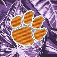 Swatch Color - clemson