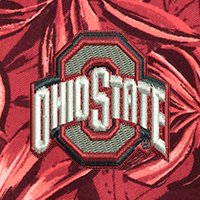 Swatch Color - ohio_state