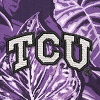 Swatch Color - TCU