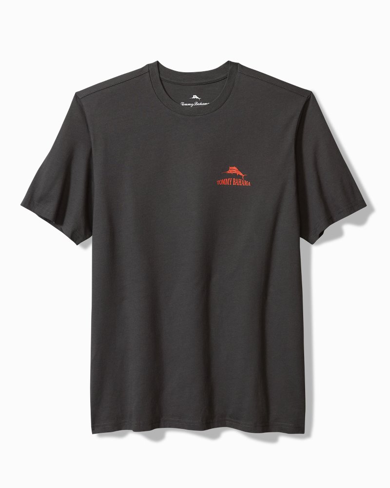 Thumbnail for Hazy Conditions Graphic T-Shirt