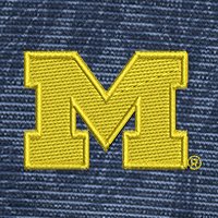 Swatch Color - Michigan
