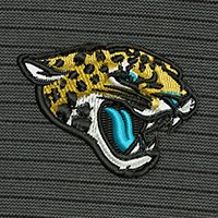 Swatch Color - jacksonville_jaguars