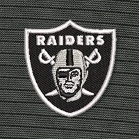 Swatch Color - las_vegas_raiders