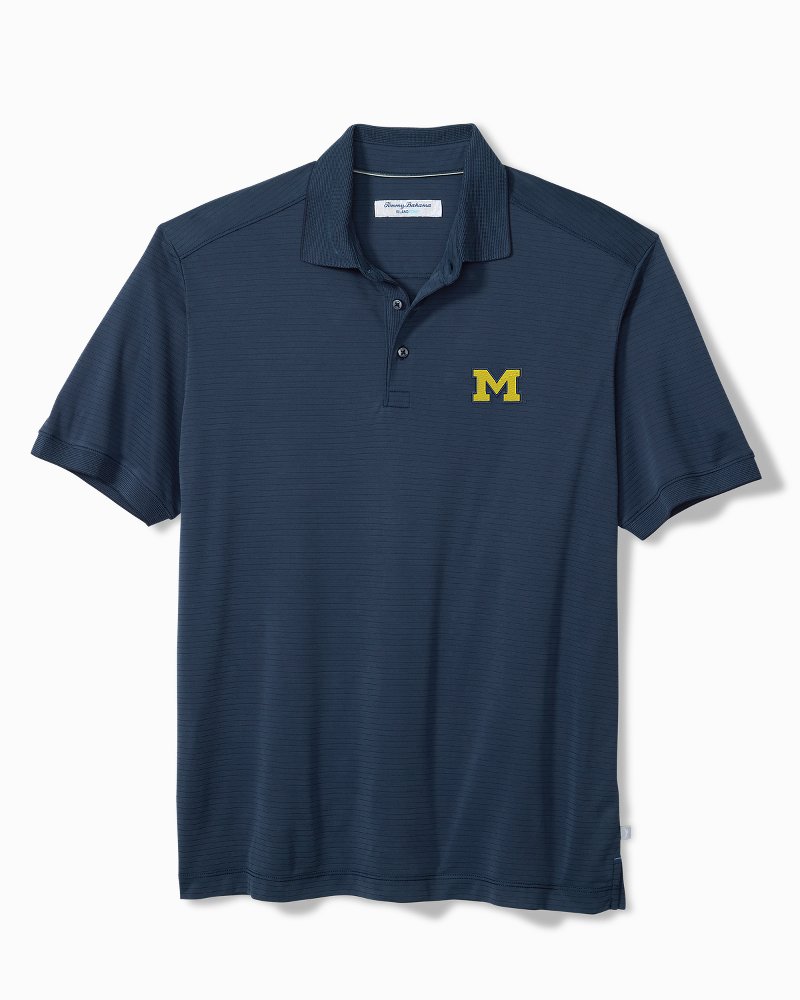 Collegiate Bay Stripe IslandZone Polo