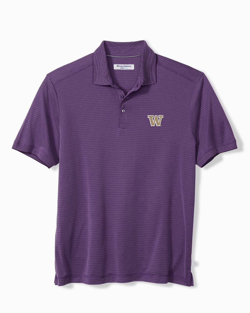 Collegiate Bay Stripe IslandZone Polo