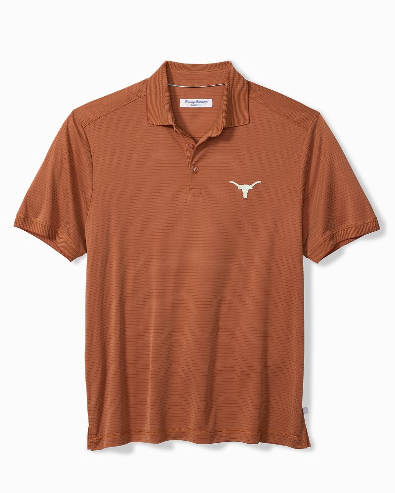 Collegiate Bay Stripe IslandZone Polo