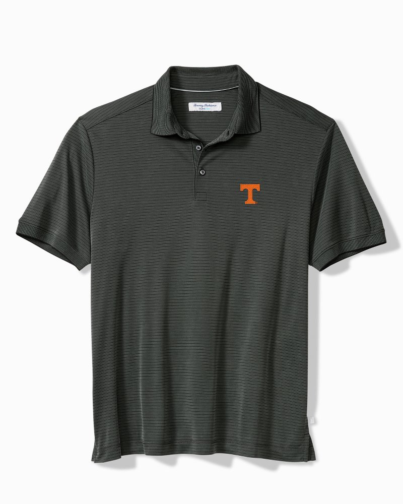 Collegiate Bay Stripe IslandZone Polo