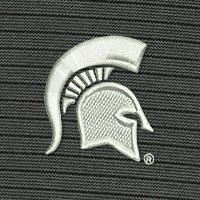 Swatch Color - michigan_state