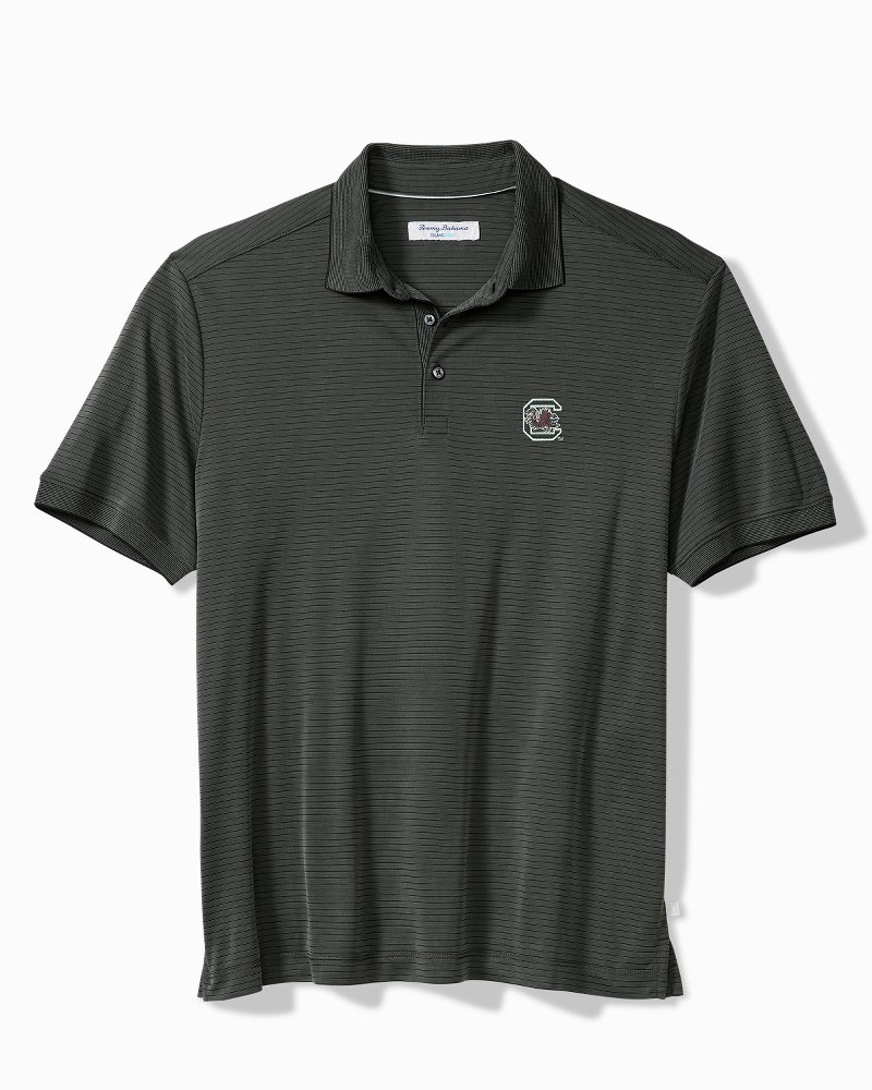 Collegiate Bay Stripe IslandZone Polo