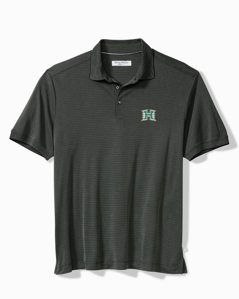 Collegiate Bay Stripe IslandZone Polo