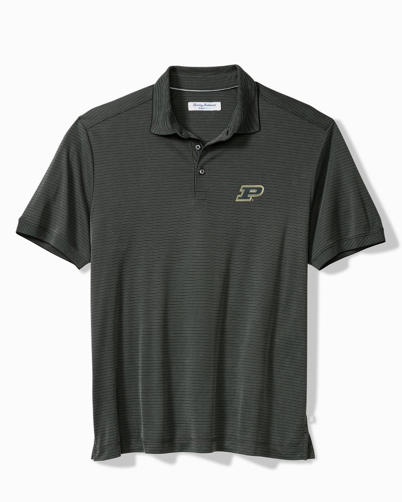 Collegiate Bay Stripe IslandZone Polo