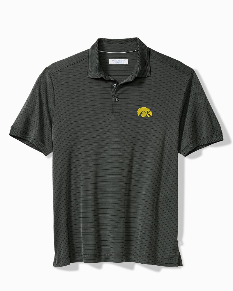 Collegiate Bay Stripe IslandZone Polo