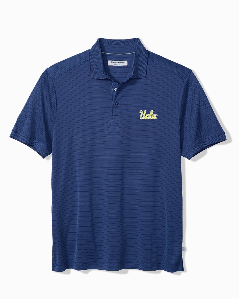 Collegiate Bay Stripe IslandZone Polo