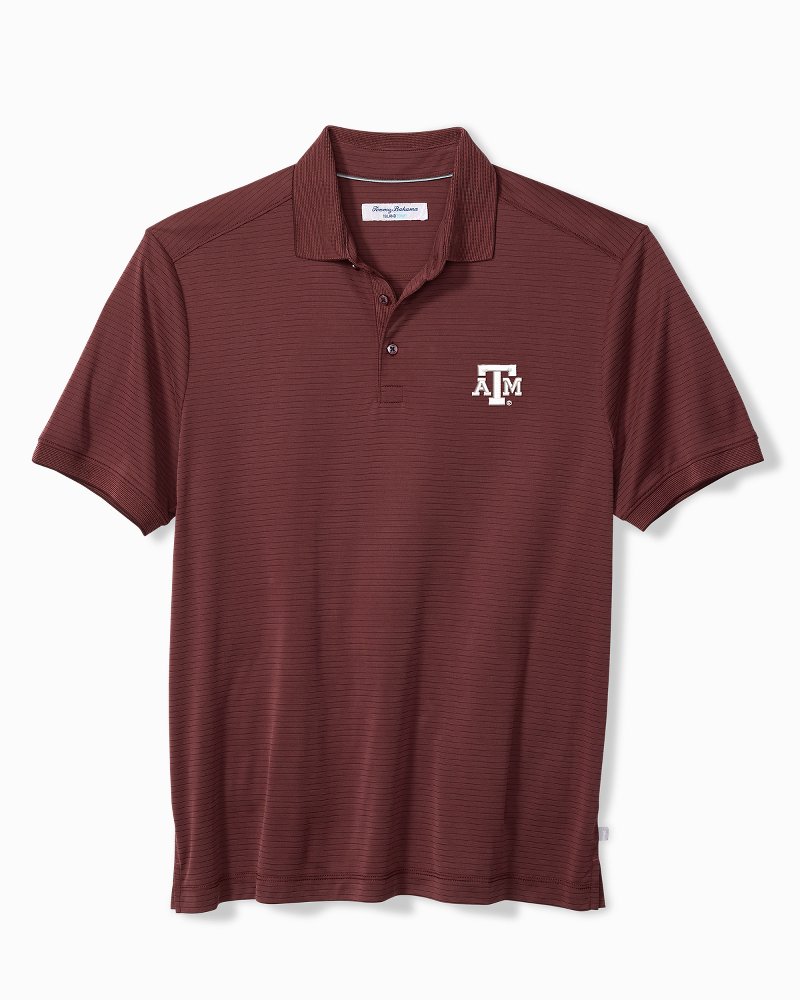Collegiate Bay Stripe IslandZone Polo