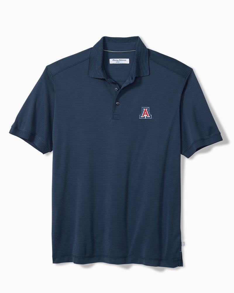 Collegiate Bay Stripe IslandZone Polo