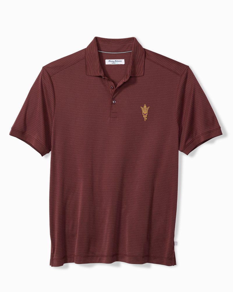 Collegiate Bay Stripe IslandZone Polo