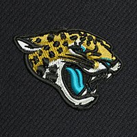 Swatch Color - jacksonville_jaguars