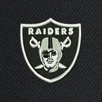 Swatch Color - las_vegas_raiders