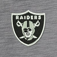 Swatch Color - las_vegas_raiders