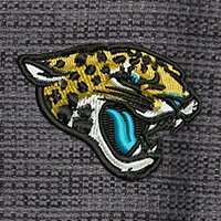 Swatch Color - jacksonville_jaguars