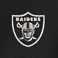 Swatch Color - las_vegas_raiders