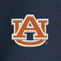 Swatch Color - auburn