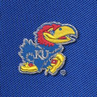 Swatch Color - Kansas