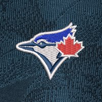 Swatch Color - toronto_blue_jays