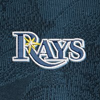 Swatch Color - tampa_bay_rays