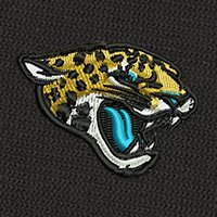 Swatch Color - jacksonville_jaguars