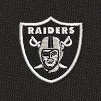 Swatch Color - las_vegas_raiders