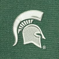 Swatch Color - michigan_state