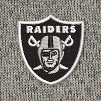 Swatch Color - las_vegas_raiders
