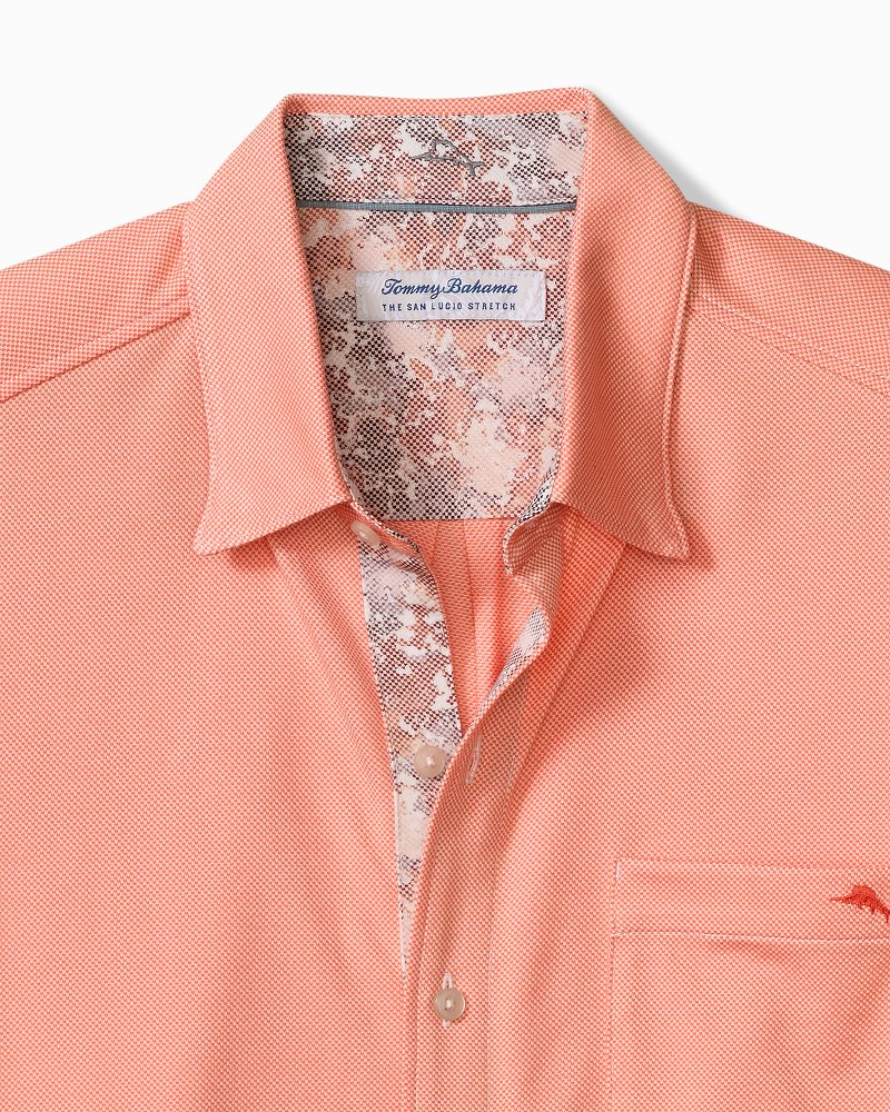 San Lucio Valega Happy Hour Stretch Knit Shirt