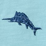 Swatch Color - Robins Egg Blue