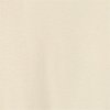 Swatch Color - Vanilla Ice